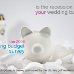 Click here to take the WeddingDates.ie 2008 Wedding Budget Survey!