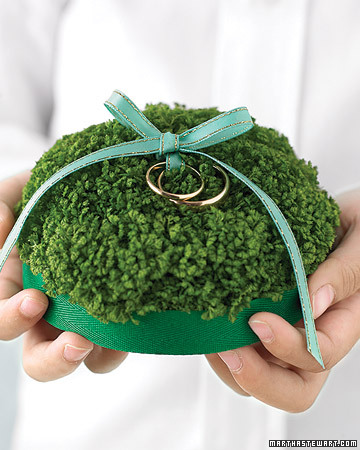 shamrock-ring-pillow
